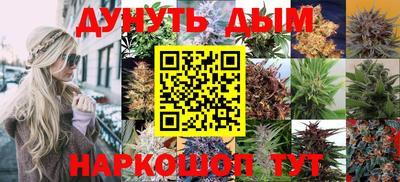 эйфоретик Краснодар