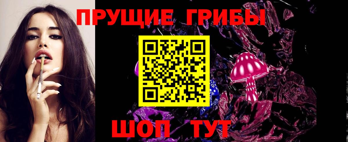 Кисловодск  Галлюциногенные грибы Cubensis  Вход с VPN 