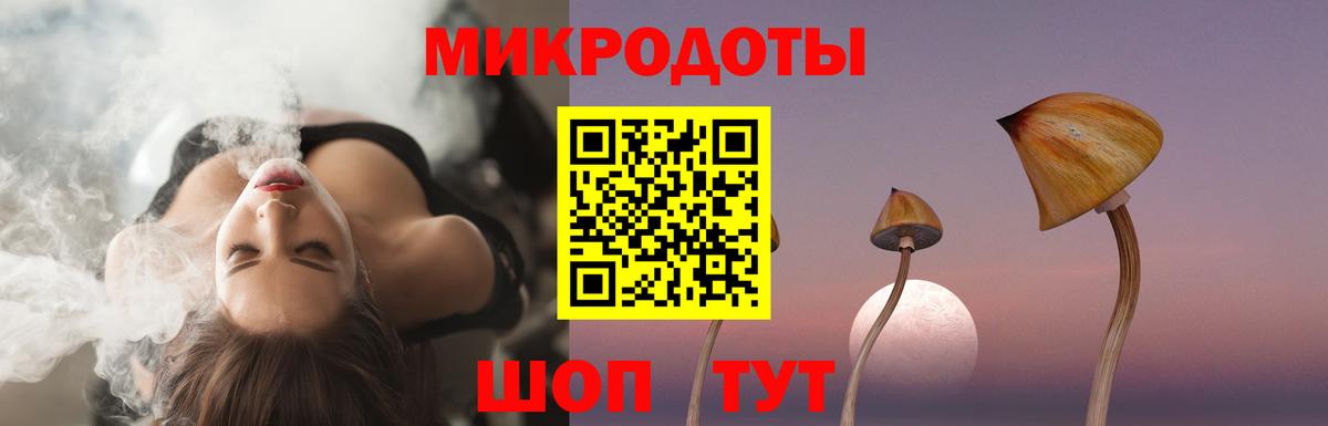 Псилоцибиновые грибы GOLDEN TEACHER Кисловодск